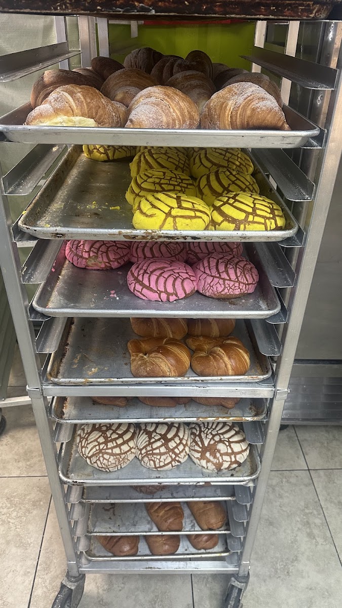 Mexican pan dulce on a bakery shelf